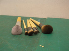 Ecotools 5 Makeup Brushes, 1 BS mall Brush