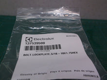 Lot of 2 New Genuine OEM Electrolux Frigidaire Washer Trunnion Bolt 137539500