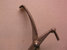 olive pitter made in Italy
