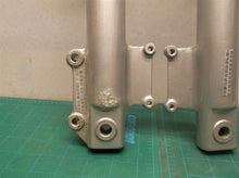 Kymco Fork Strut F103 LLBS-500 SET OF 2
