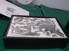 3D Metal Model Kits, Mechanical Fire Breathing Dragon 3D Metal Puzzle,Steel Warc